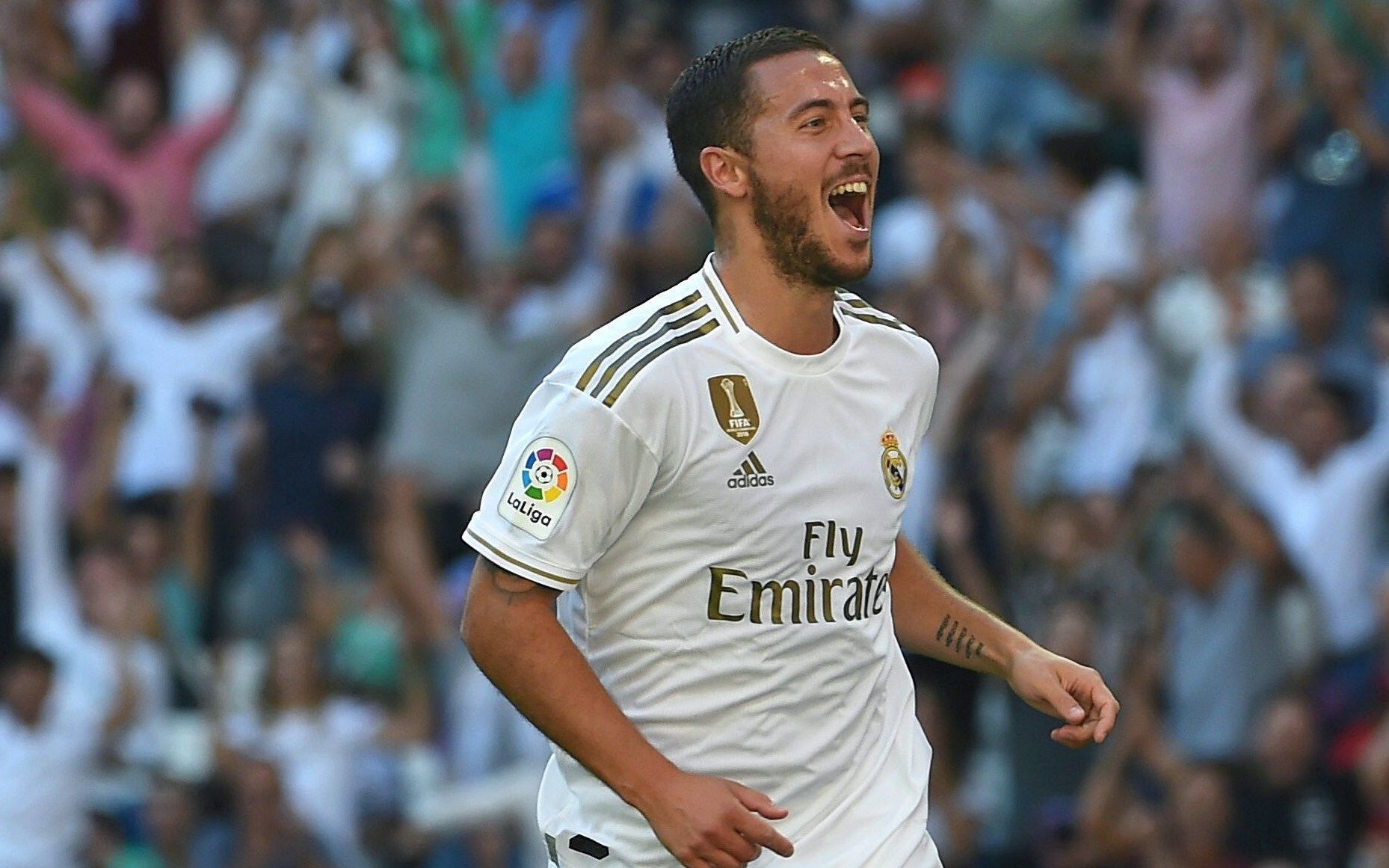 炉膛一体动物油熬练直烧锅